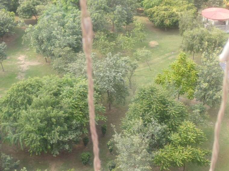 Garden, om-sai-enclave-chipiyana-buzurg  125 Sq.Yd. Plot In Chipiyana Buzurg Ghaziabad 9558418