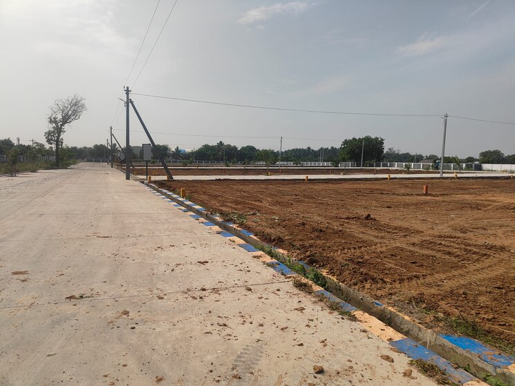 undefined, pudukkottai nh  1200 Sq.Ft. Plot In Pudukkottai nh Trichy 9558539