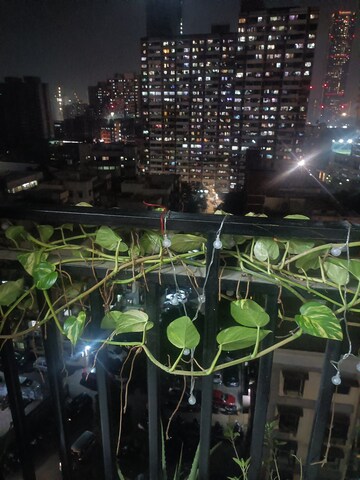 1 BHK Apartment For Rent in Don October, Parel