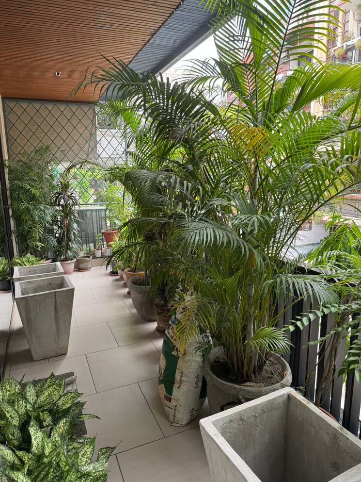 Balcony, south extension i 4 Bedroom 305 Sq.Yd. Builder Floor In South Extension I Delhi 9558578