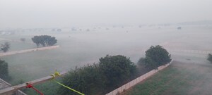 Master Bedroom in 2 BHK Apartment at ROF Alante, Sector 108 – for Rent