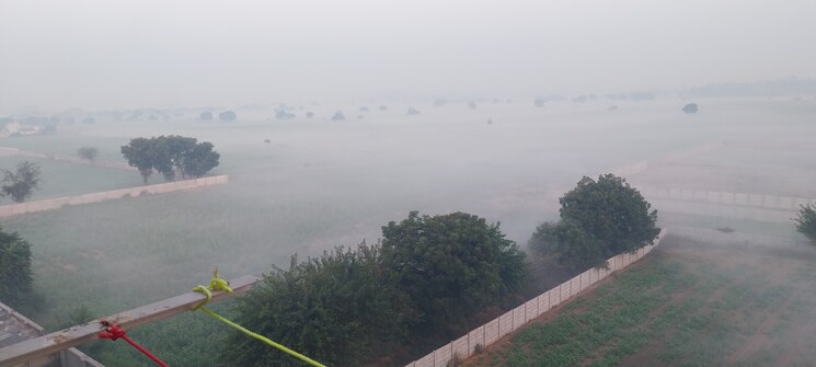 Master Bedroom, rof-alante 2 Bedroom 645 Sq.Ft. Apartment In Sector 108 Gurgaon 9558659