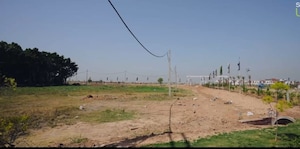  Plot For Sale in Panchkula Urban Estate