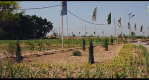 Plot Area in  Plot at Panchkula Urban Estate – for Sale