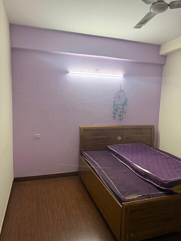 3 BHK Apartment For Rent in Jaypee Greens The Castille, Jaypee Greens