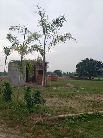  Plot For Sale in Fatehpur Beri