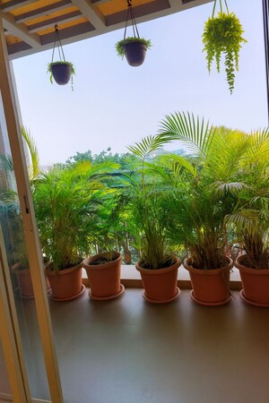 2.5 BHK Apartment – Garden View at Brahma F Residences, Kalyani Nagar - for Sale