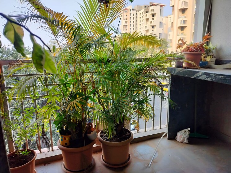 Balcony, brahma-f-residences 2.5 Bedroom 1900 Sq.Ft. Apartment In Kalyani Nagar Pune 9559117