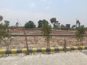 Plot Area in  Plot at Mohanlalganj – for Sale