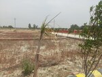 1250 Sq.Ft. Plot in Mohanlalganj