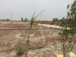 Plot For Sale in Mohanlalganj