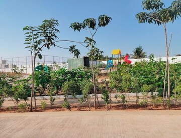  Plot For Sale in Stand Road