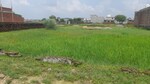 1250 Sq.Ft. Plot in New Golden City Amausi lu
