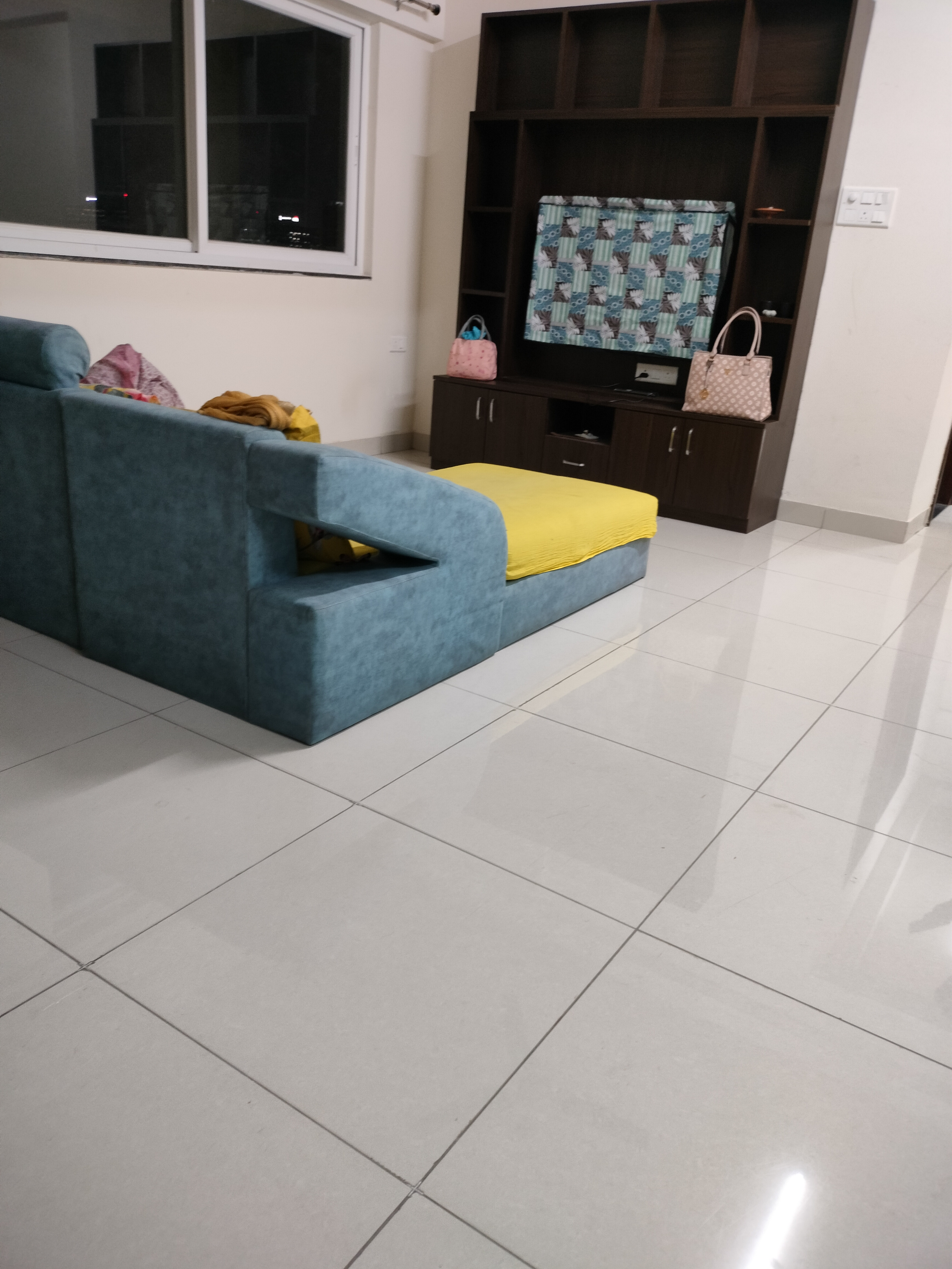 3 BHK Apartment For Rent in Purva Silversands