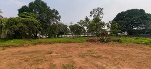 Plot Area in  Plot at Kakkanad – for Sale
