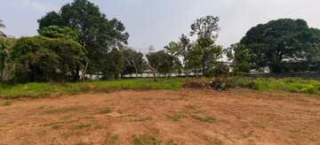 Plot Area in  Plot at Kakkanad – for Sale