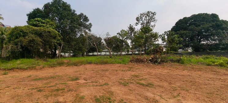 undefined, kakkanad  17420 Sq.Ft. Plot In Kakkanad Kochi 9559479