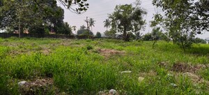  Plot For Sale in Kakkanad