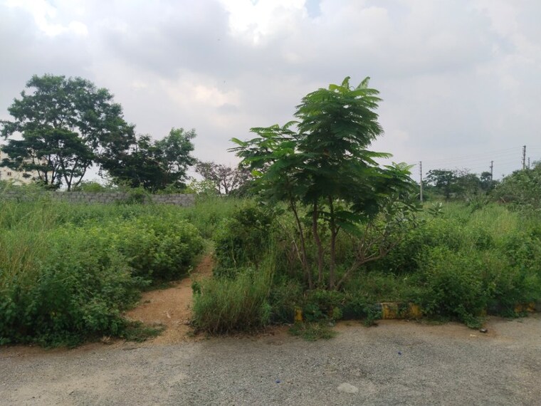 Exterior View, mangalpalle  120 Sq.Yd. Plot In Mangalpalle Hyderabad 9559594