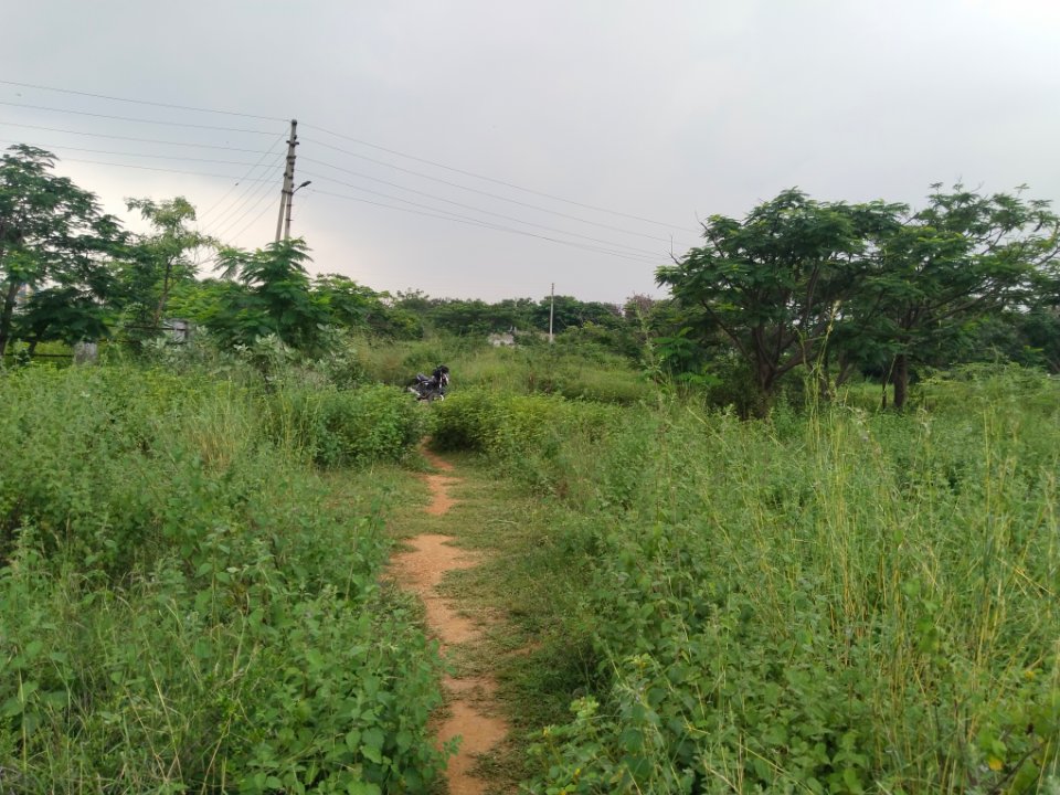 Plot For Sale in Mangalpalle