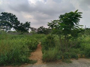 Plot Area in  Plot at Mangalpalle – for Sale