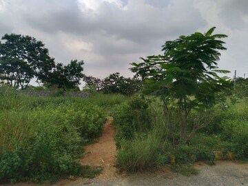 Plot Area in  Plot at Mangalpalle – for Sale