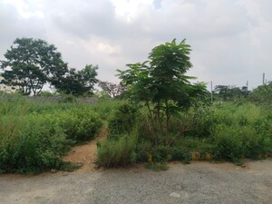 Plot Area in  Plot at Mangalpalle – for Sale