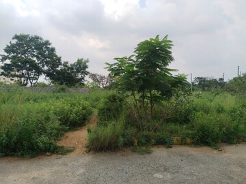 Plot Area in  Plot at Mangalpalle – for Sale