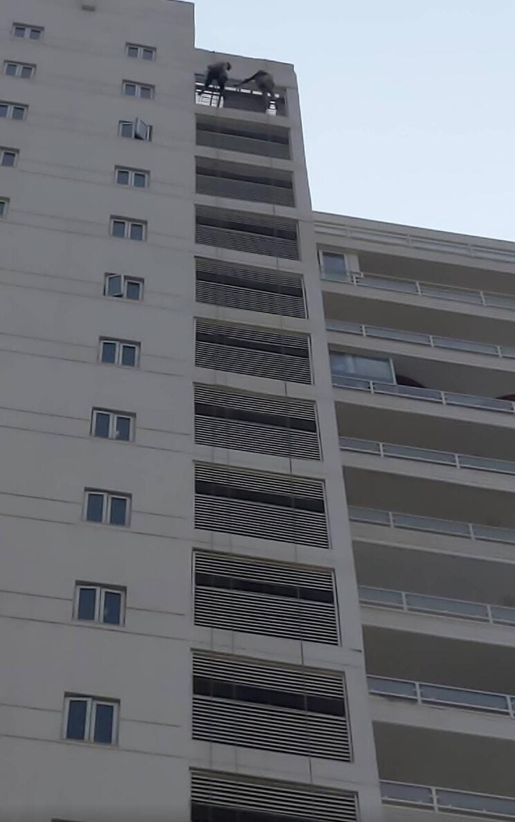 undefined, abw-la-lagune 4 Bedroom 3160 Sq.Ft. Apartment In Sector 54 Gurgaon 9559782