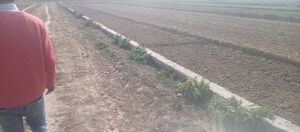  Plot For Sale in Khorabar