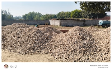 Plot Area in  Plot at Mohanlalganj – for Sale