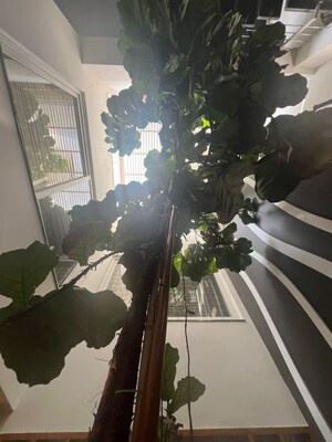Balcony in 5 BHK Villa at Purva Coronation Square, Jp Nagar – for Sale