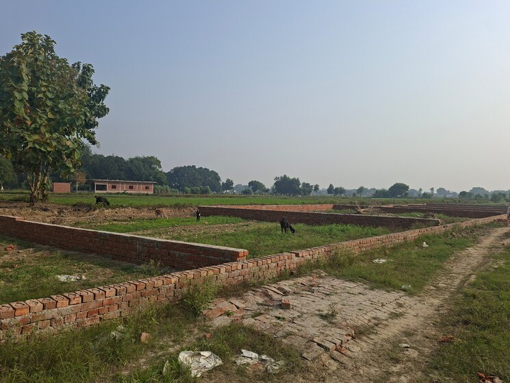 undefined, babatpur  1000 Sq.Ft. Plot In Babatpur Varanasi 9560385