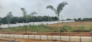  Plot For Sale in Nandigama