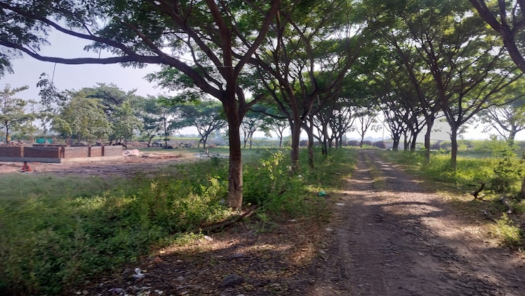 undefined, pimpalgaon baswant  213 Sq.Yd. Plot In Pimpalgaon Baswant Nashik 9560539