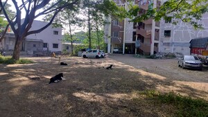  Plot – Exterior View View at Pimpalgaon Baswant - for Sale