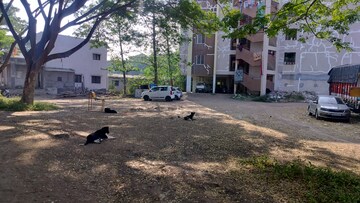  Plot – Exterior View View at Pimpalgaon Baswant - for Sale