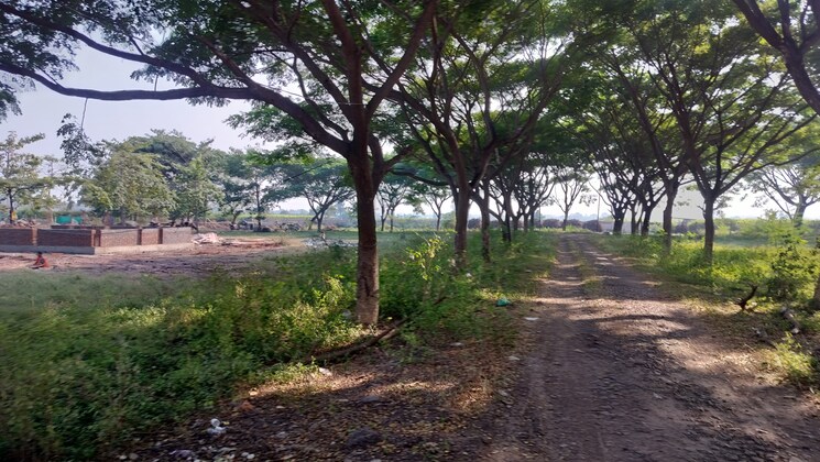 undefined, pimpalgaon baswant  213 Sq.Yd. Plot In Pimpalgaon Baswant Nashik 9560567