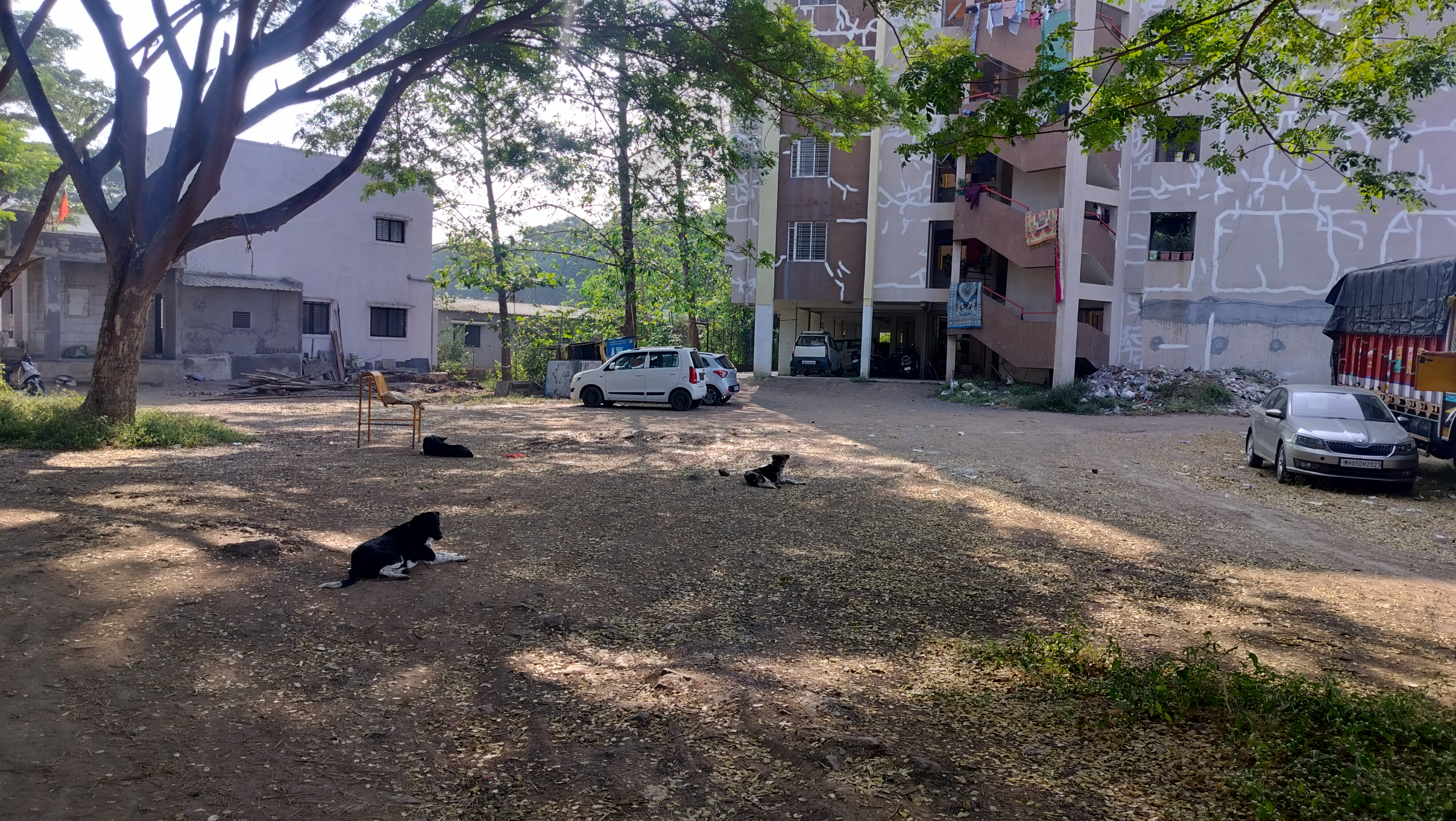  Plot – Exterior View View at Pimpalgaon Baswant - for Sale