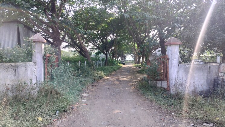 Garden, pimpalgaon baswant  163 Sq.Yd. Plot In Pimpalgaon Baswant Nashik 9560611
