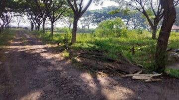 Plot Area in  Plot at Pimpalgaon Baswant – for Sale