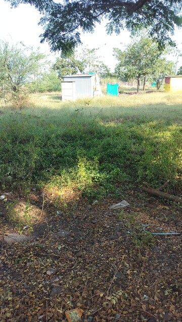 Plot Area in  Plot at Pimpalgaon Baswant – for Sale