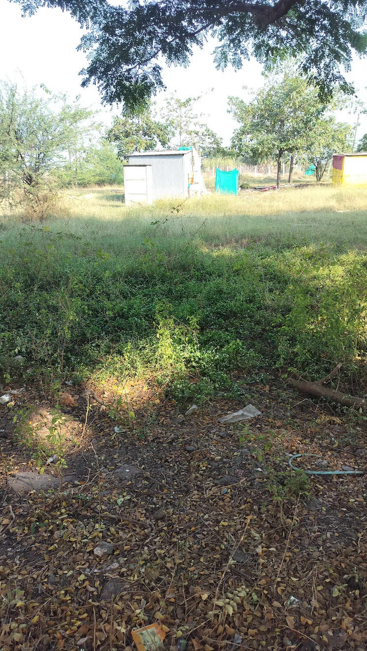 undefined, pimpalgaon baswant  163 Sq.Yd. Plot In Pimpalgaon Baswant Nashik 9560611