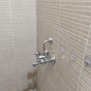 Bathroom in 2 BHK Apartment at DB Realty Orchid Ozone, Ketkipada – for Rent