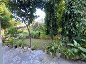 1 BHK Independent House – Garden View at Tarang Orchid, Sector 28 - for Rent