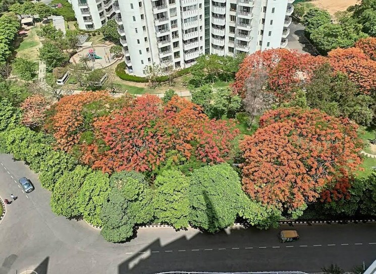 Garden, parsvnath-exotica 3 Bedroom 2610 Sq.Ft. Apartment In Sector 53 Gurgaon 9561003