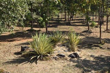 Plot Area in  Plot at Karjat – for Sale