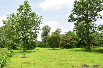  Plot – Garden View at Karjat - for Sale