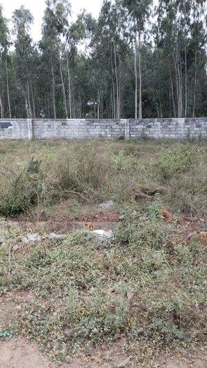 Plot Area in  Plot at Chandapura – for Sale