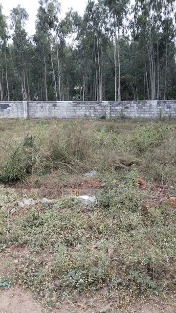 Plot Area in  Plot at Chandapura – for Sale